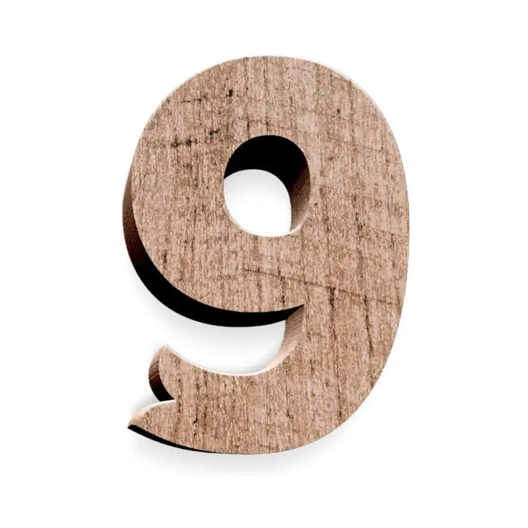 ​​जन्मांक 9​