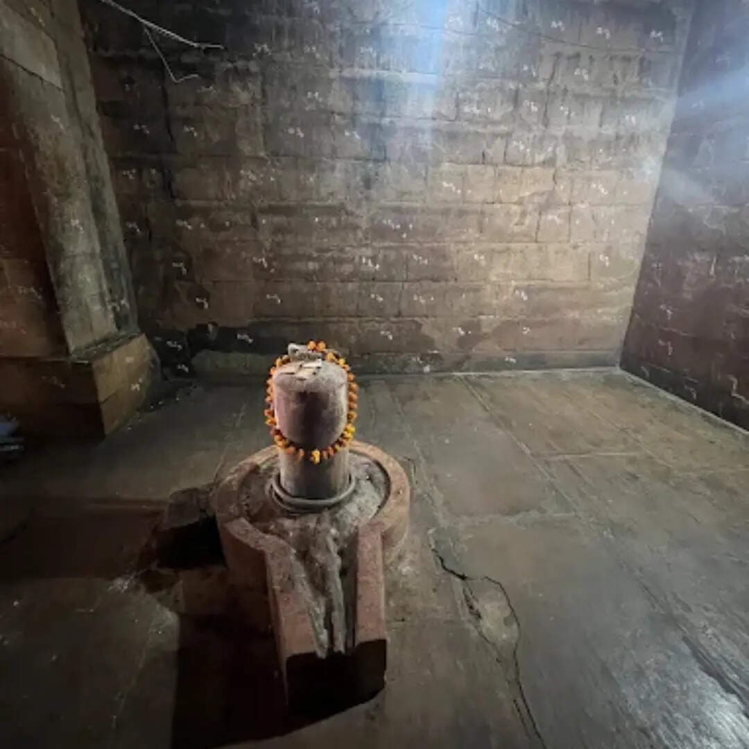 ​दिलचस्प कहानियां​