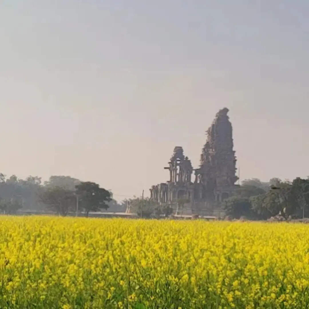 ​हैरानी की बात​