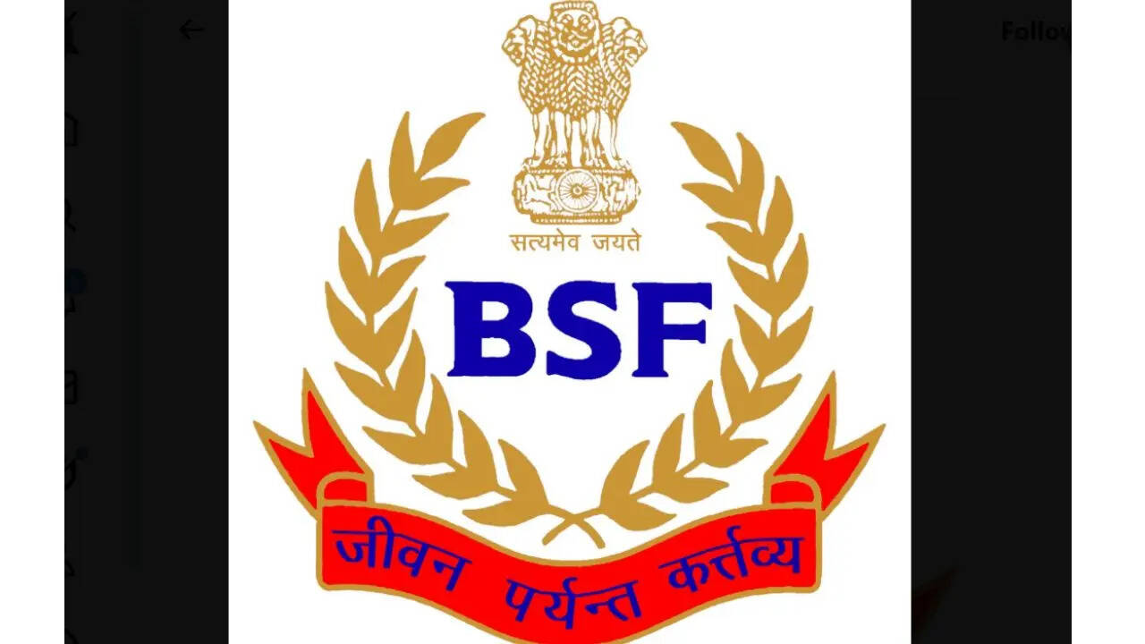 BSF के बारे में