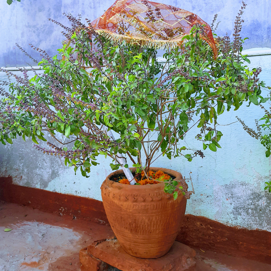 ​दरिद्रता दूर करने के उपाय​