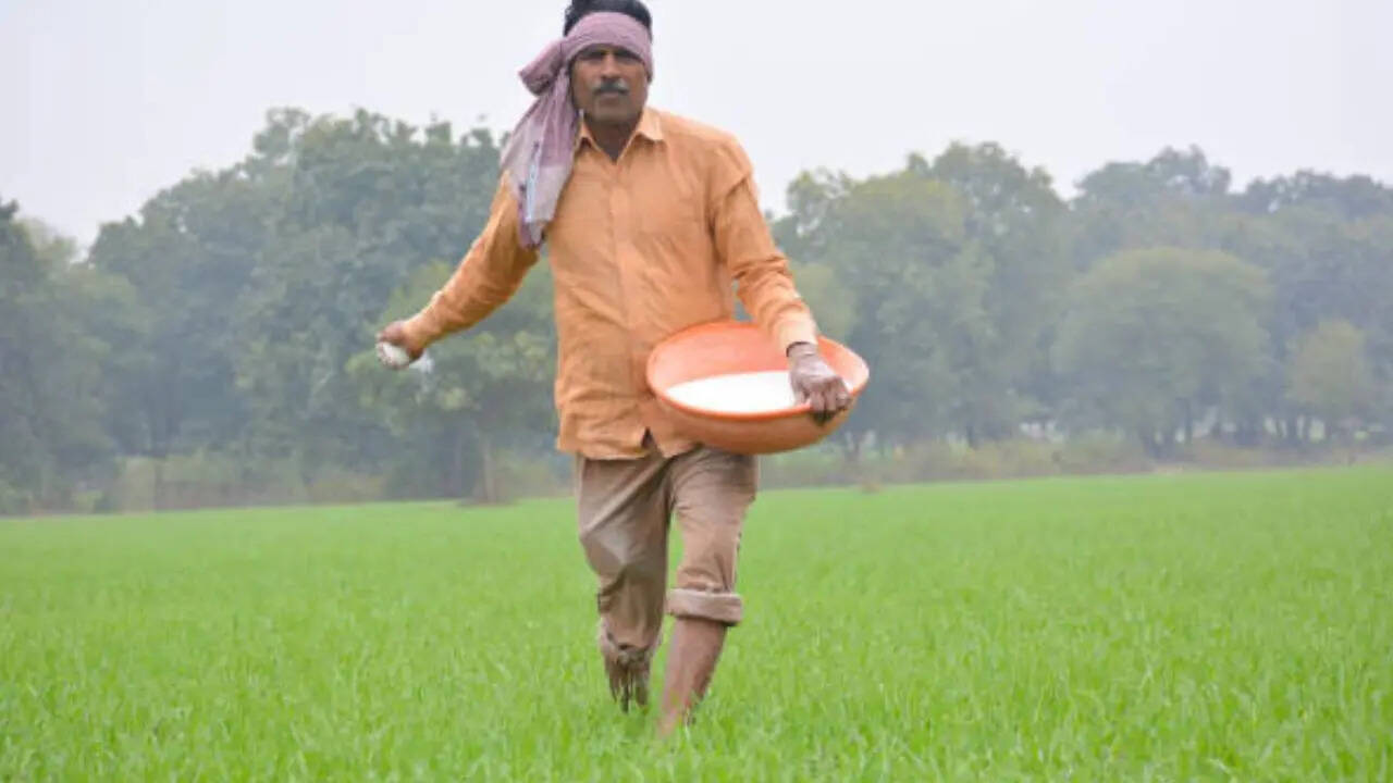 अगले स्टेप में आपको आधार, भूमि दस्तावेज, बैंक पासबुक, बिजली बिल और फोटो को अपलोड करना होगा। लास्ट ऑप्शन में आपको फॉर्म को सबमिट करना होगा जिसके बाद आपके पास आवेदन संख्या आ जाएगी।