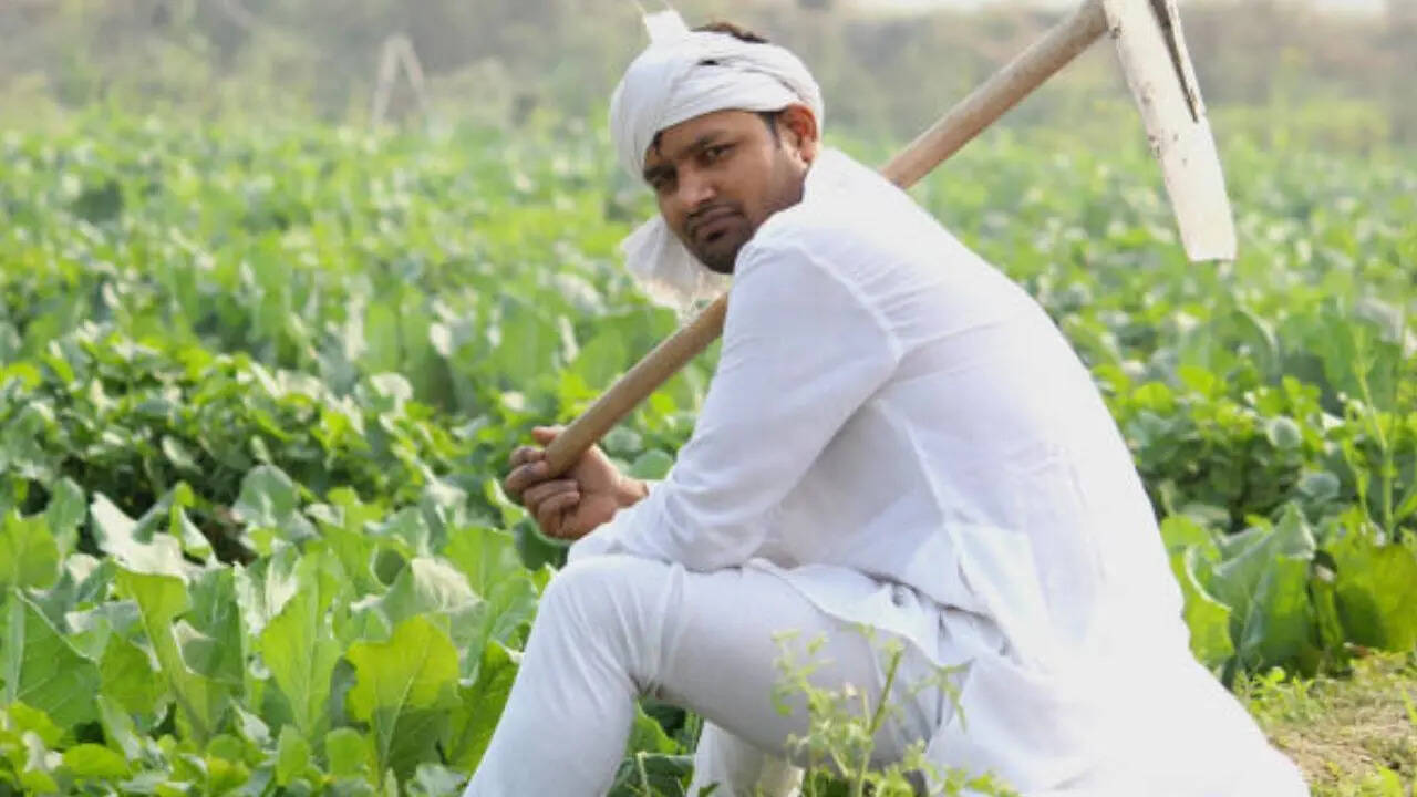 PM Kusum Yojana में आवेदन के लिए आपको राष्ट्रीय पोर्टल pmkusum.mnre.gov.in या फिर अपने राज्य के PM-Kusum पोर्टल पर जाना होगा। इसके बाद आपको नाम, मोबाइल, राज्य आदि कि डिटेल्स देनी होगी। इसके बाद OTP के जरिए वेरिफाई करना होगा।