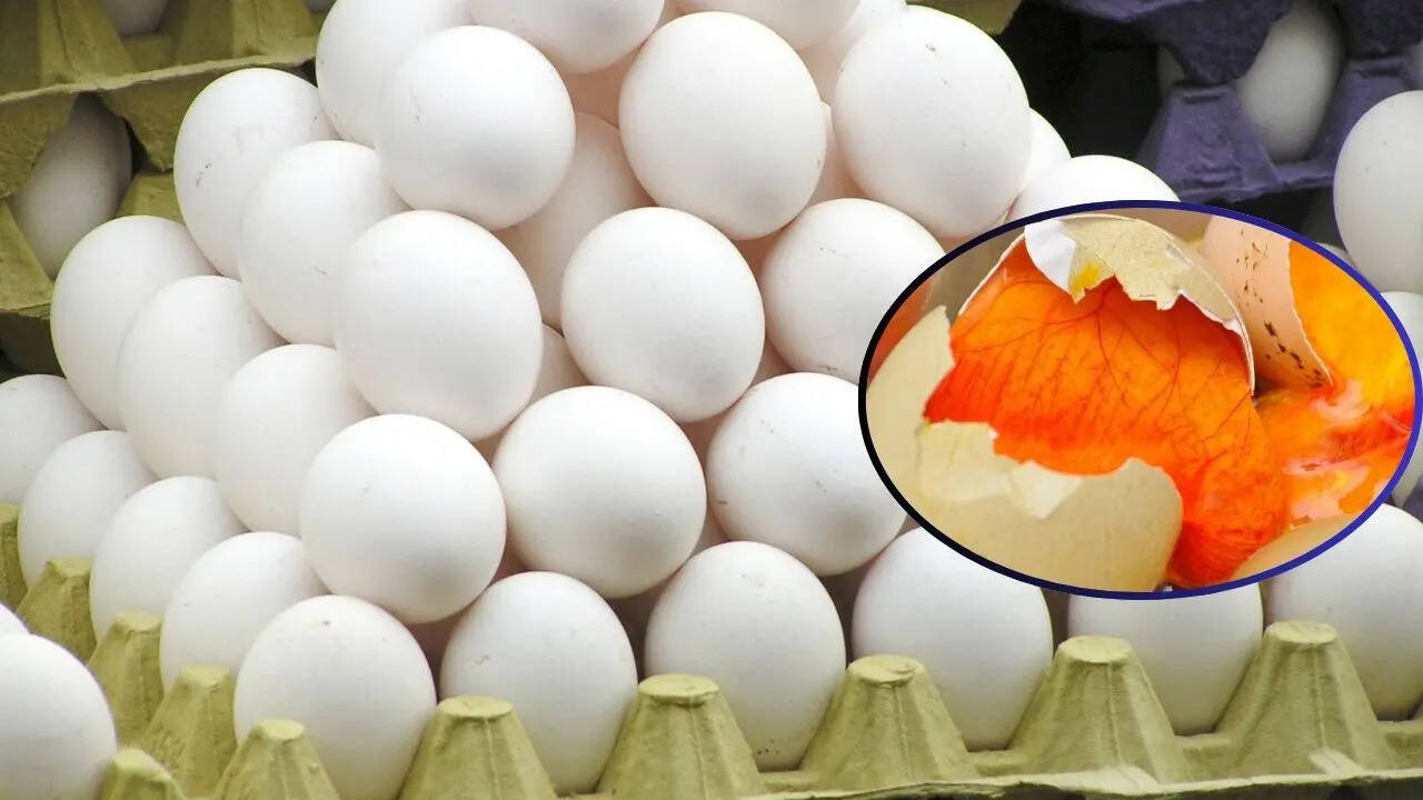 ​अंडे के इस नियम से ग्राहक को क्या होगा फायदा?