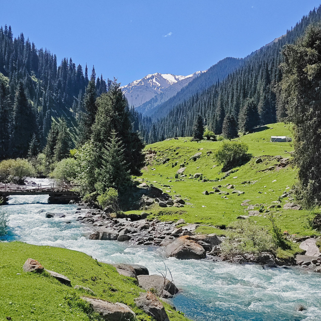 कब करें विजिट