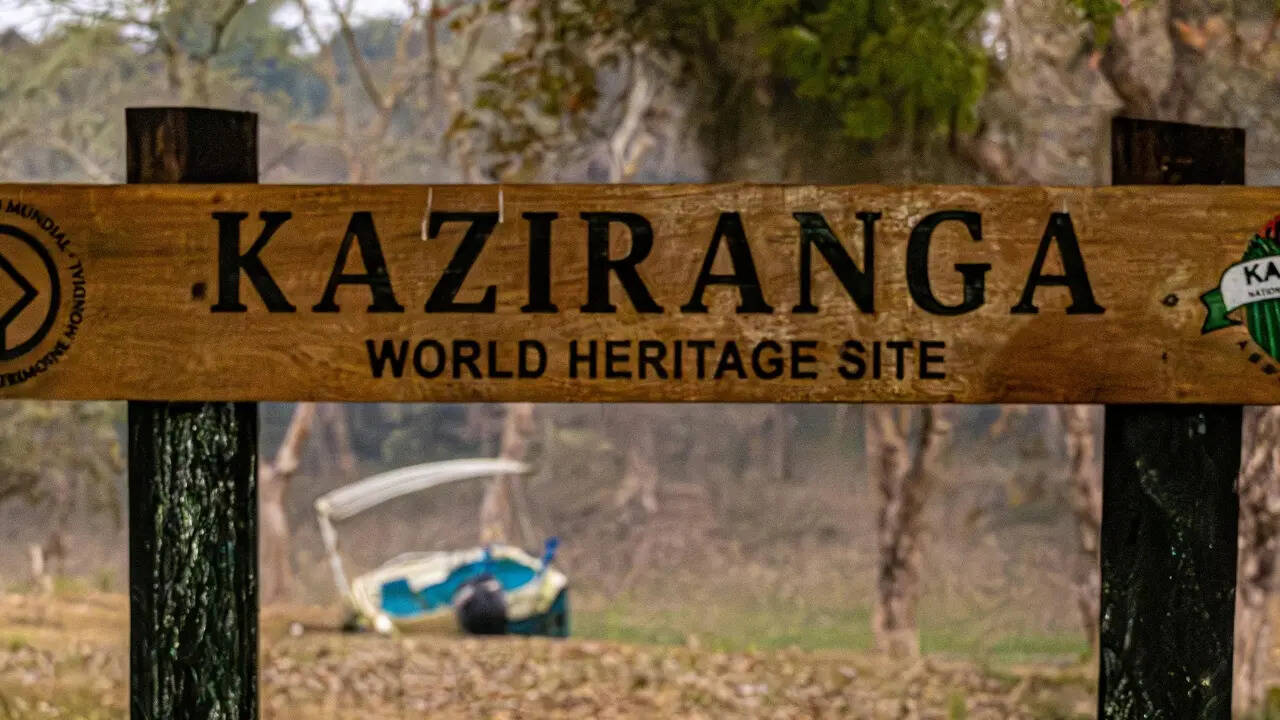 इन जानवरों के लिए लगी पर्यटकों की भीड़