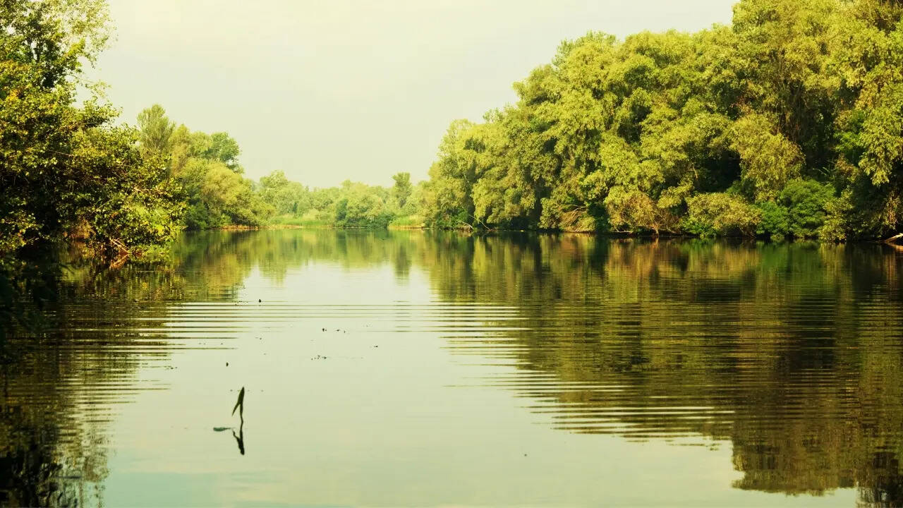 हरियाली और खुशहाली की वापसी