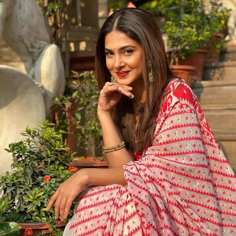 टीवी गर्ल जेनिफर विंगेट की कितनी है फीस?