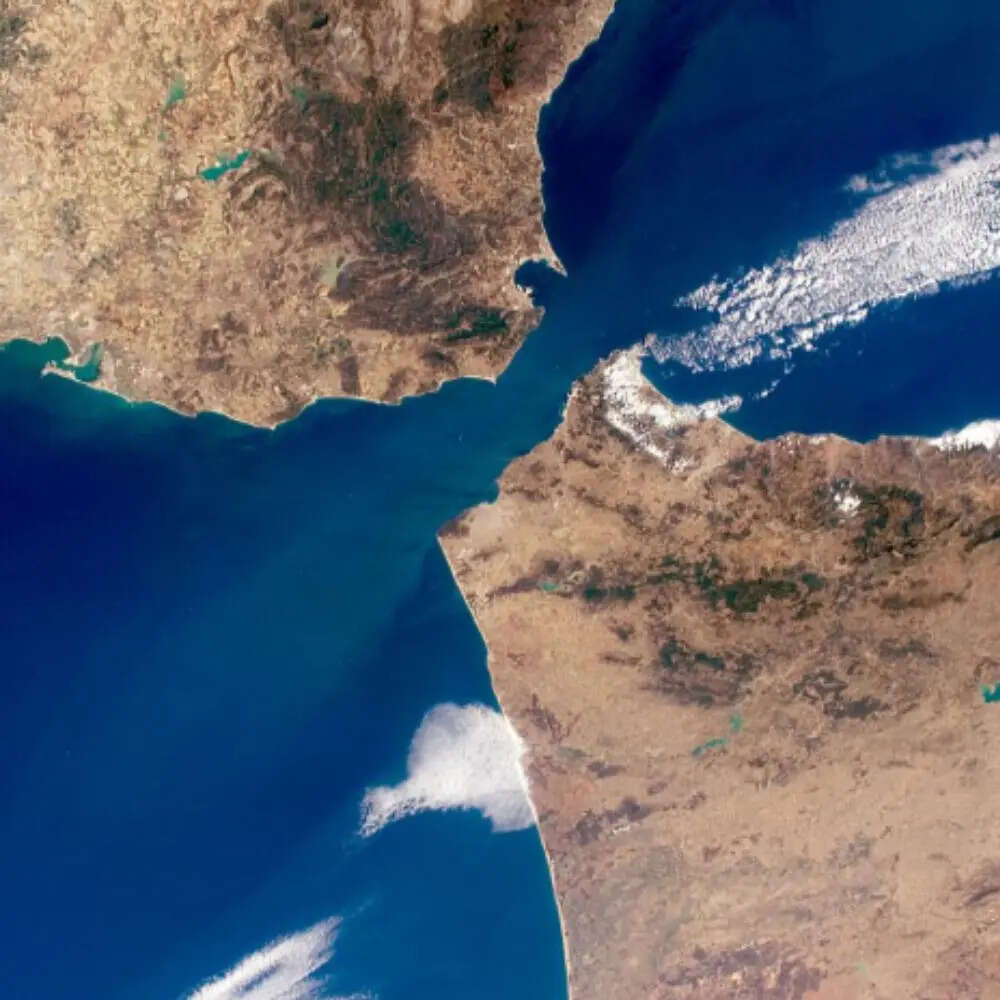 GULF का क्या मतलब है ? 