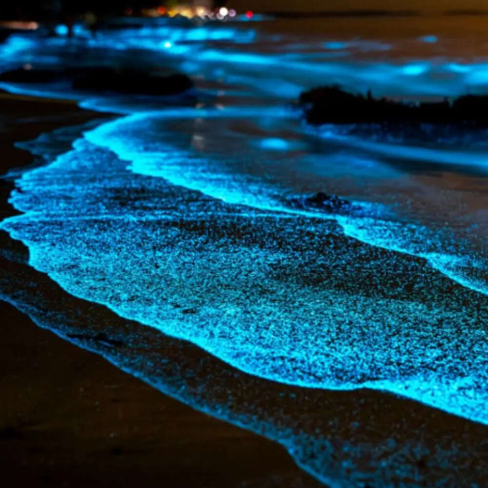 तीनों के बीच मुख्य अंतर