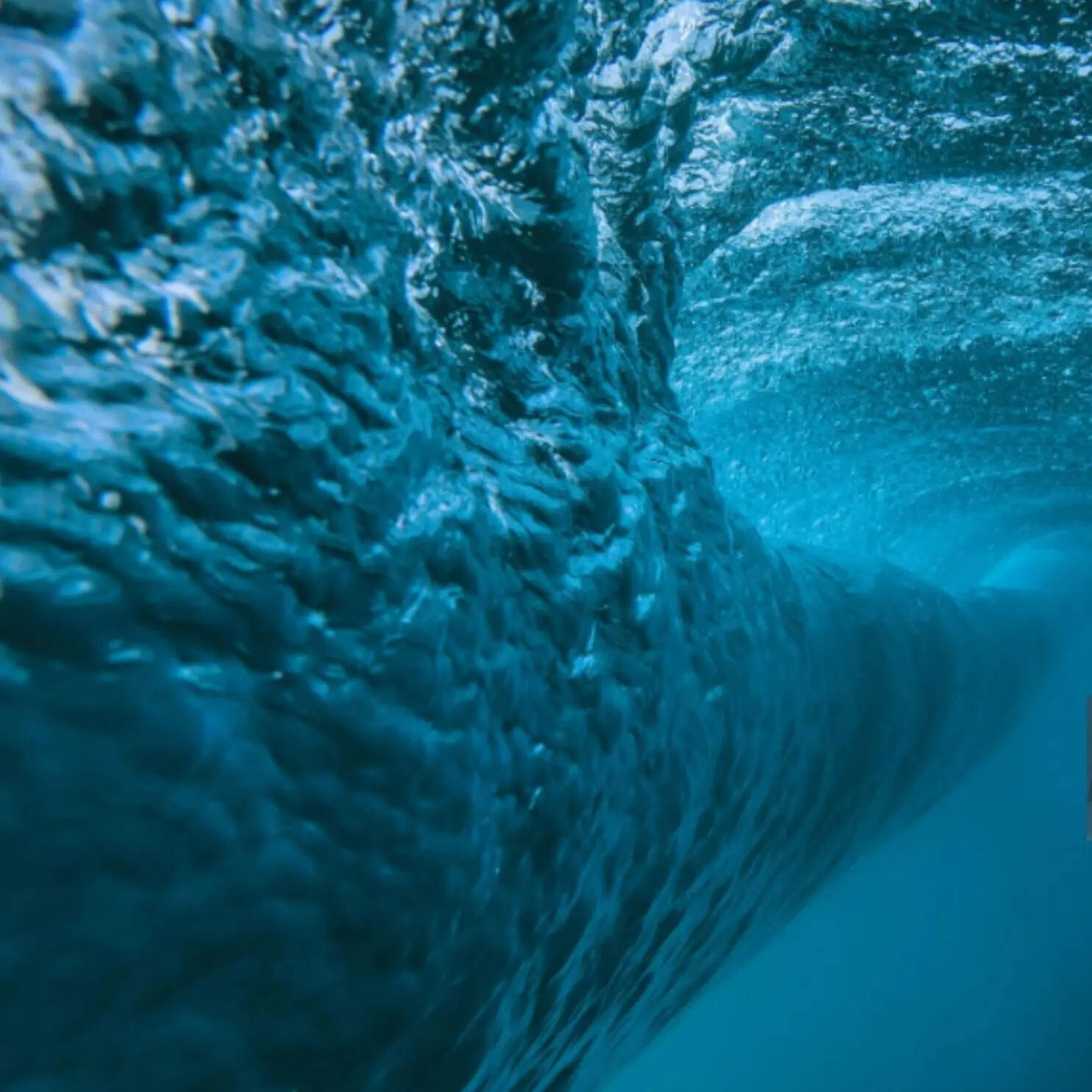 एग्जाम के लिए जरूरी ये सवाल