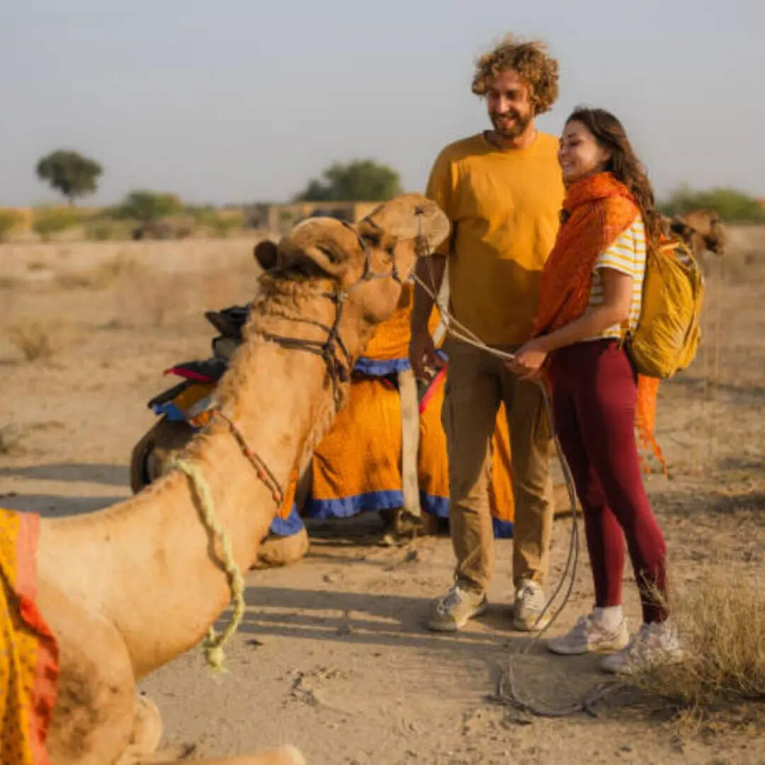 परिवार के साथ कौन सा बेहतर