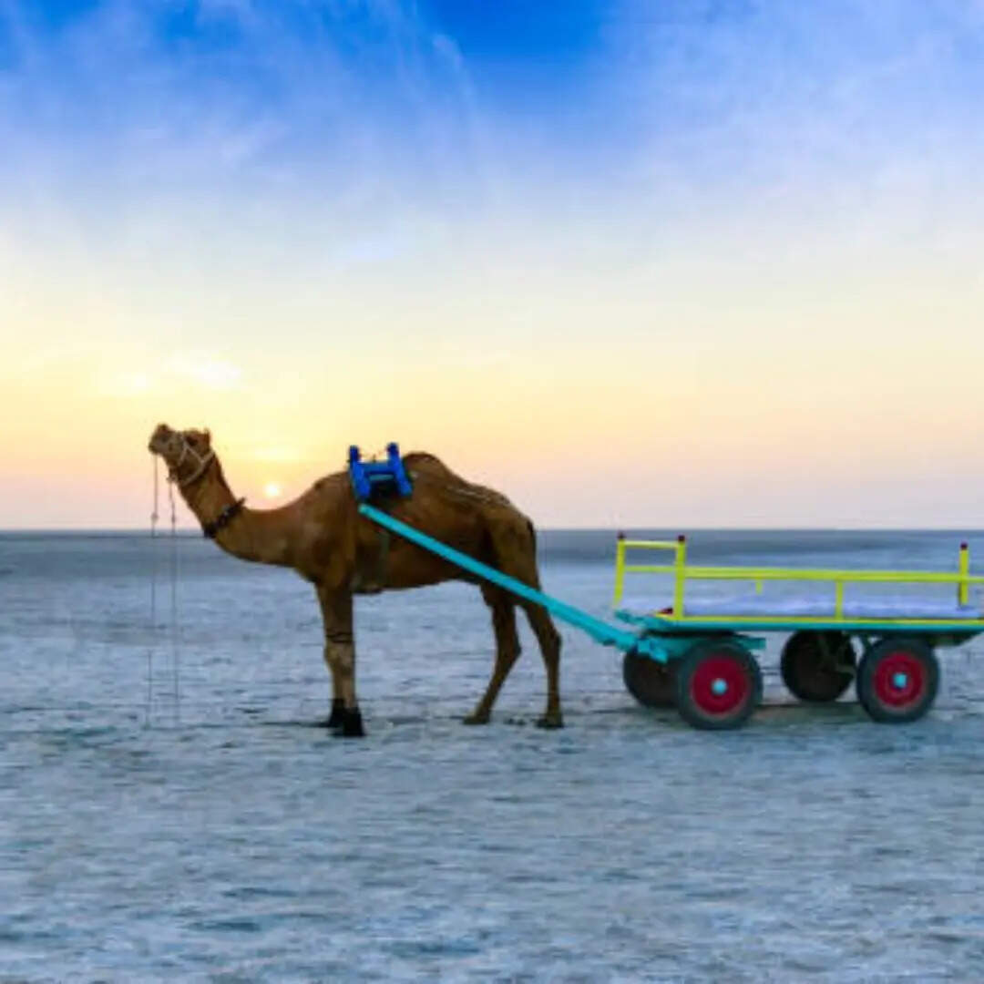 कब जाएं रेगिस्तान घूमने