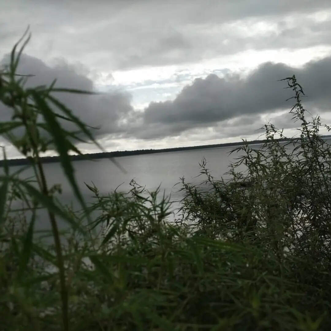 ​कैसे पहुंचें​