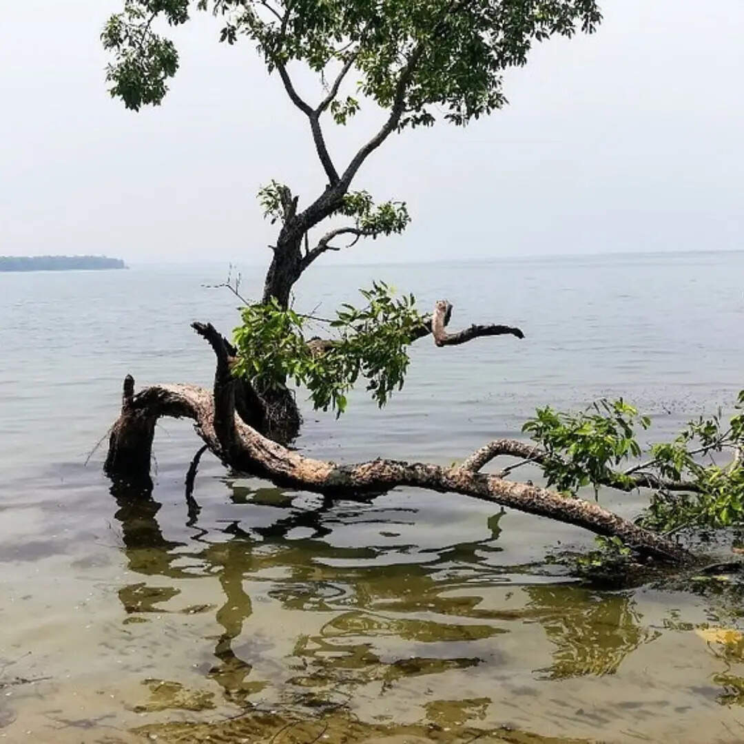 ​प्रवेश शुल्क​