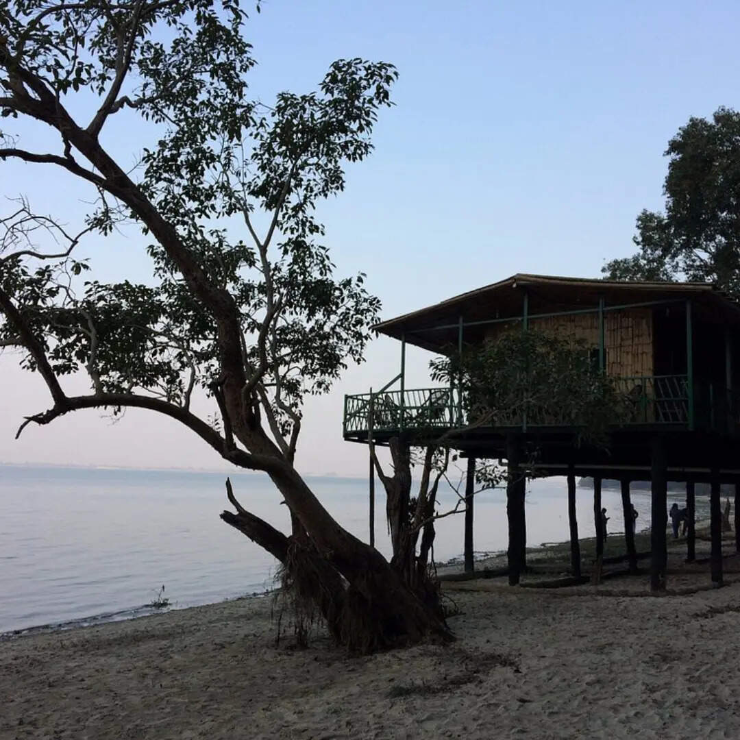 ​​ट्री हाउस का मजा​​