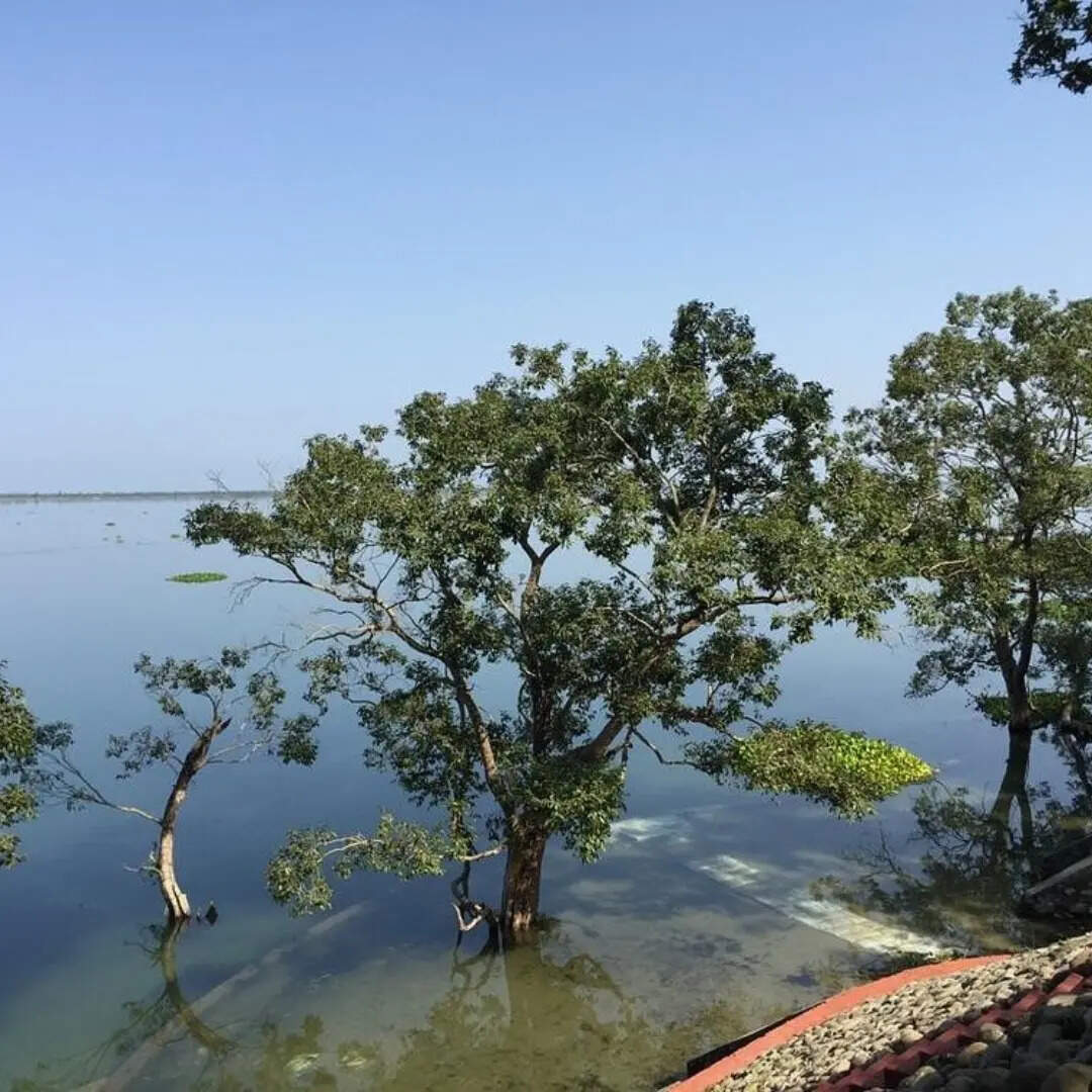 ​बेहद खास है जगह​