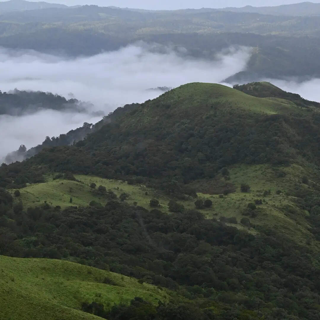 ​मैक्लोडगंज​