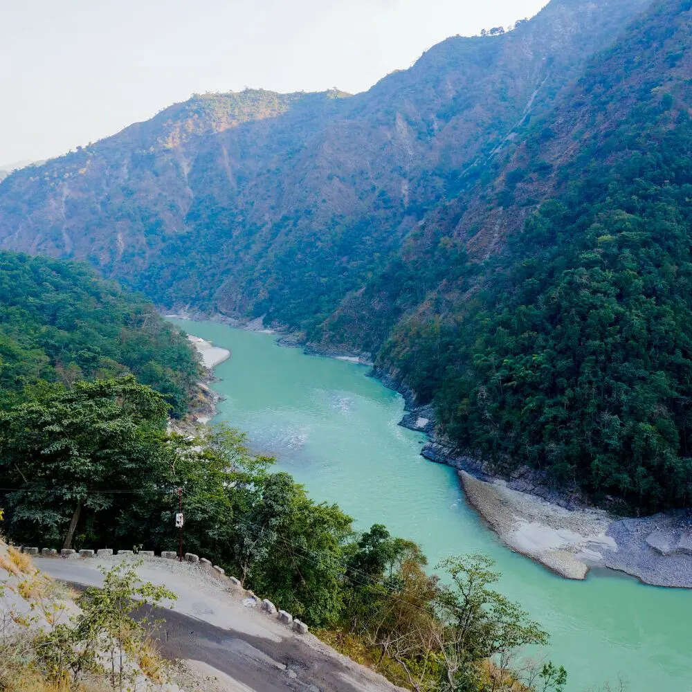  विशेष प्रकार के बैक्टीरिया