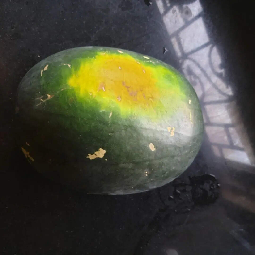 ​फील्ड स्पॉट का रंग​