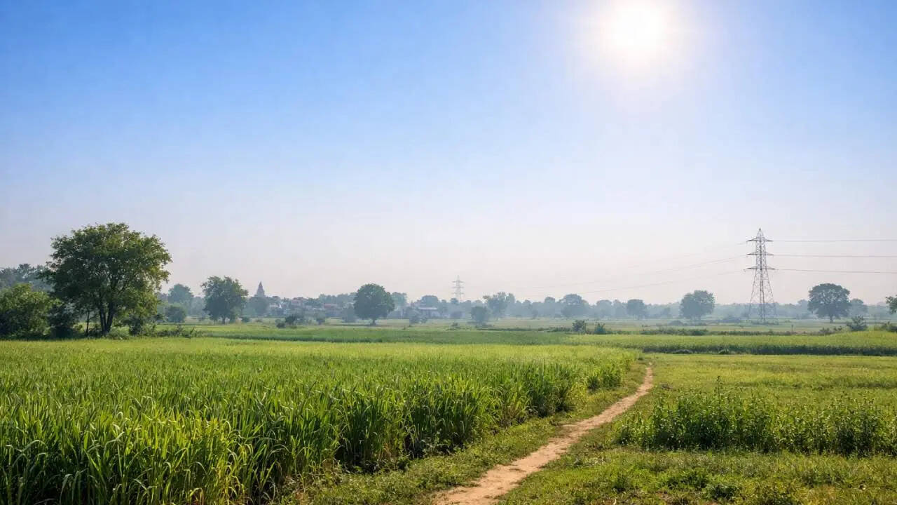 यूपी का मौसम