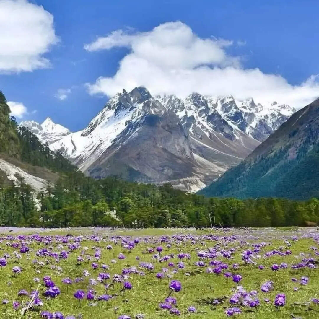 ​कब जाएं​