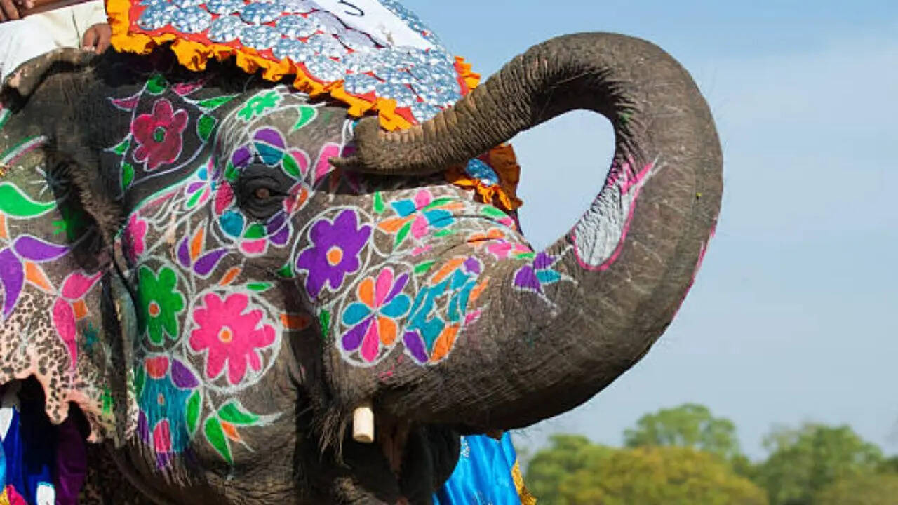<strong>एक शाही कानून और परंपरा</strong>