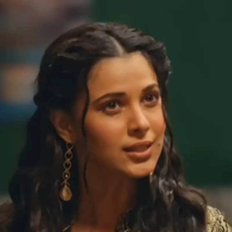 विलेन बनेगी भरनी