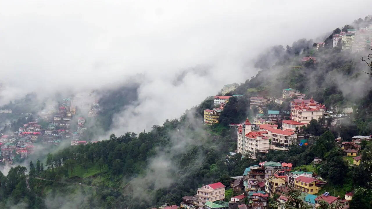 दूसरे दिन चंडीगढ़ से शिमला के लिए प्रस्थान होगा। तीसरे दिन पर्यटकों को कुफरी की सुंदर वादियों और शिमला के ऐतिहासिक 'मॉल रोड' पर घूमने व स्थानीय खरीदारी करने का बेहतरीन मौका मिलेगा।