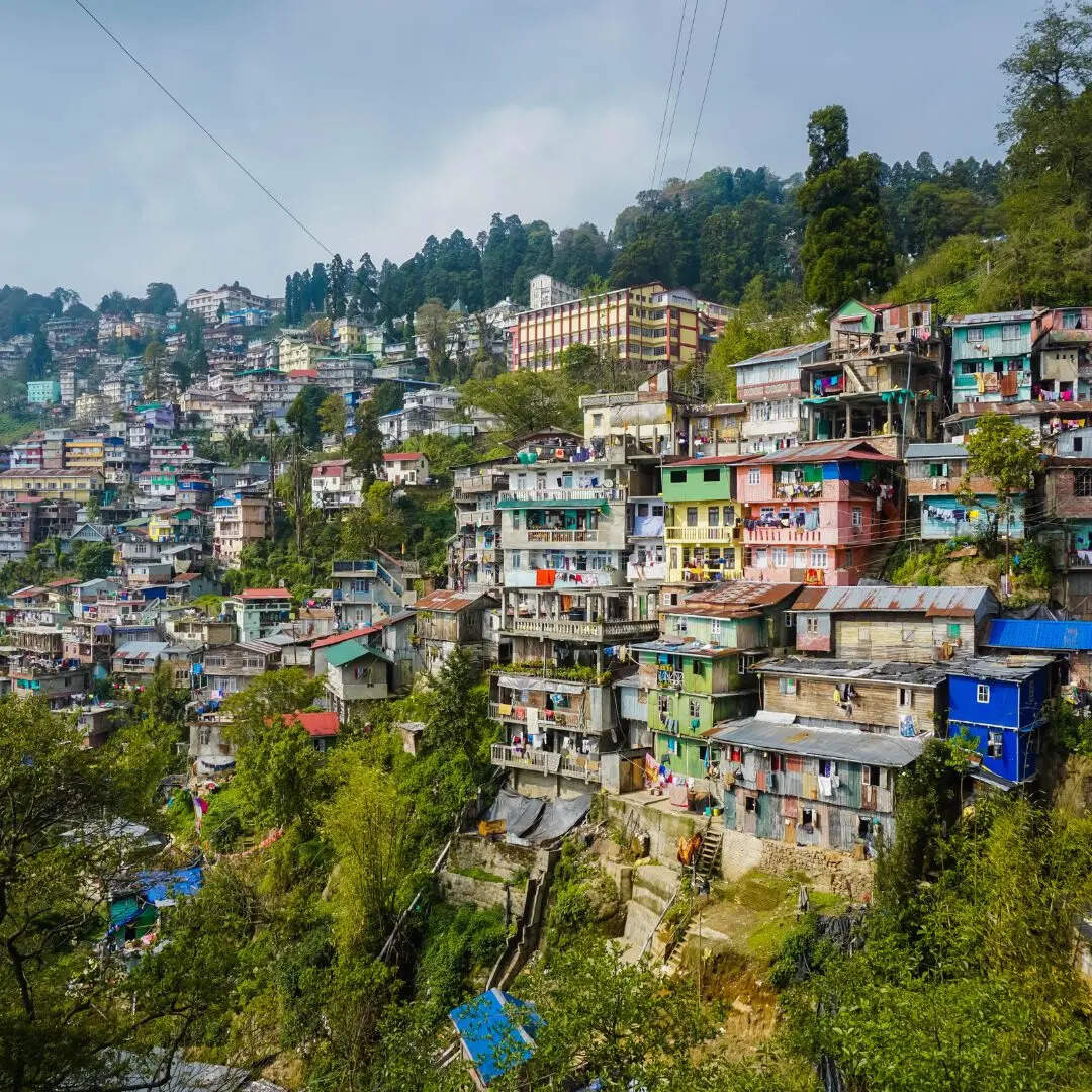 सेवन सिस्टर के भाई को मिला Green State की उपाधी