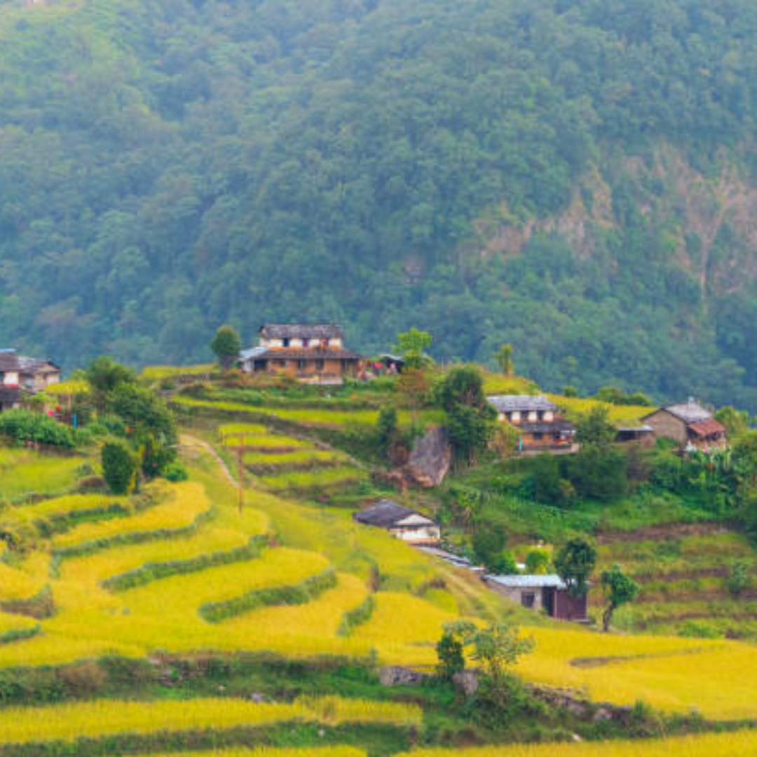 कल्पा