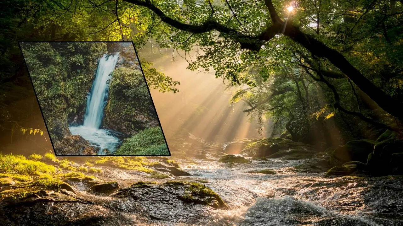 मानसून में बढ़ जाती है खूबसूरती
