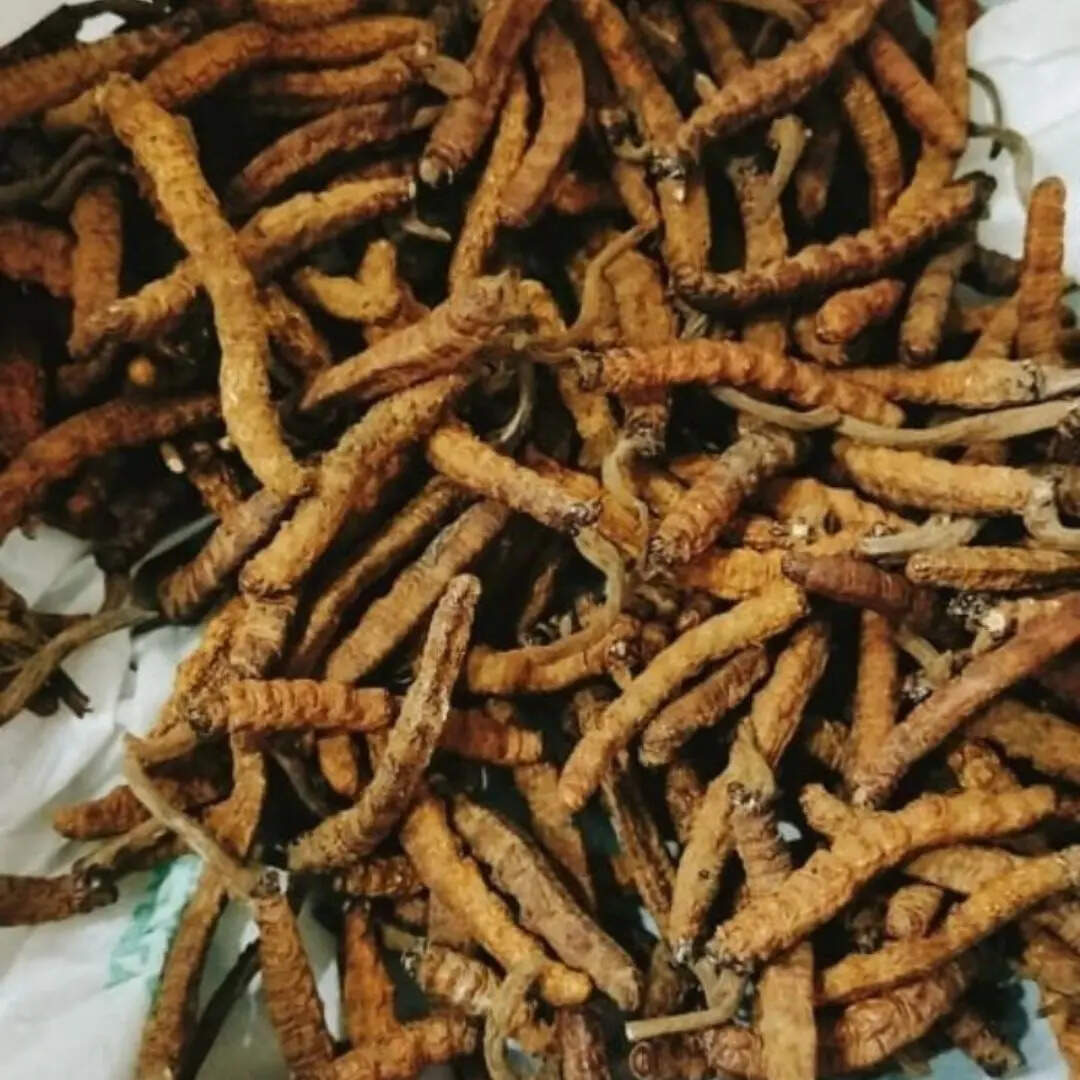 ताकत की बूटी
