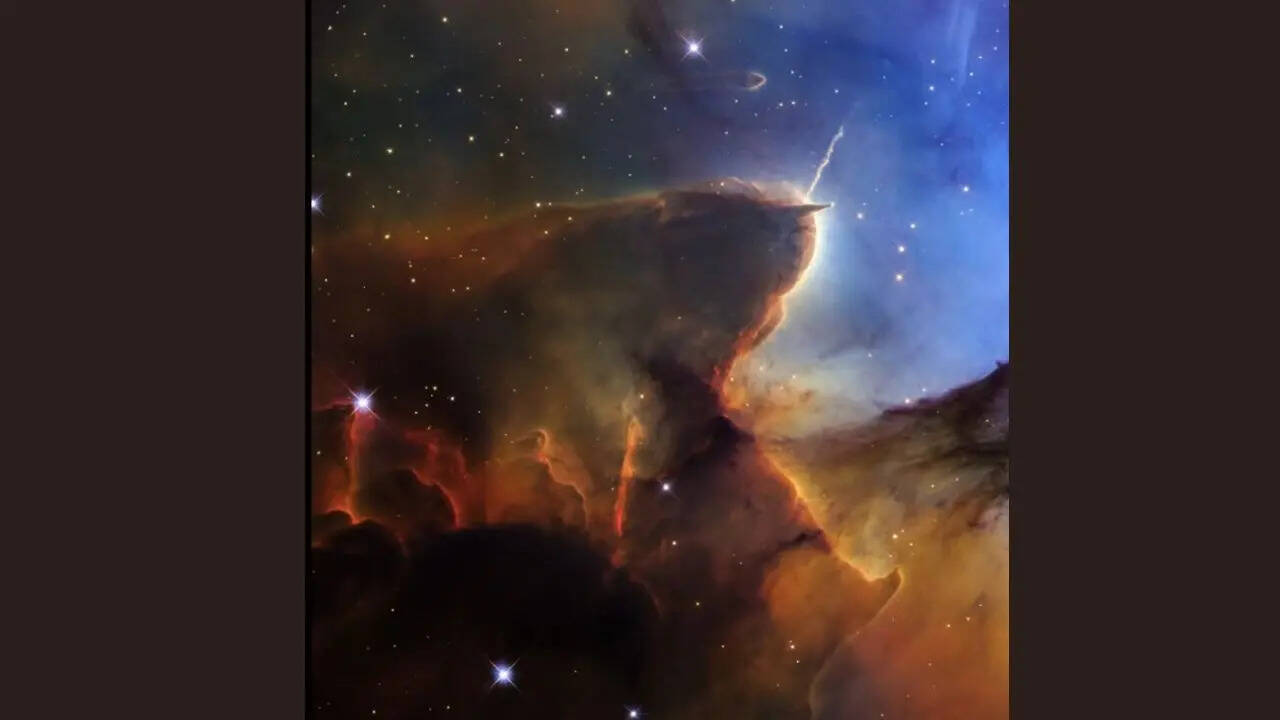 ​​दो रंगों में बंटा कुदरत का अनोखा कैनवास​