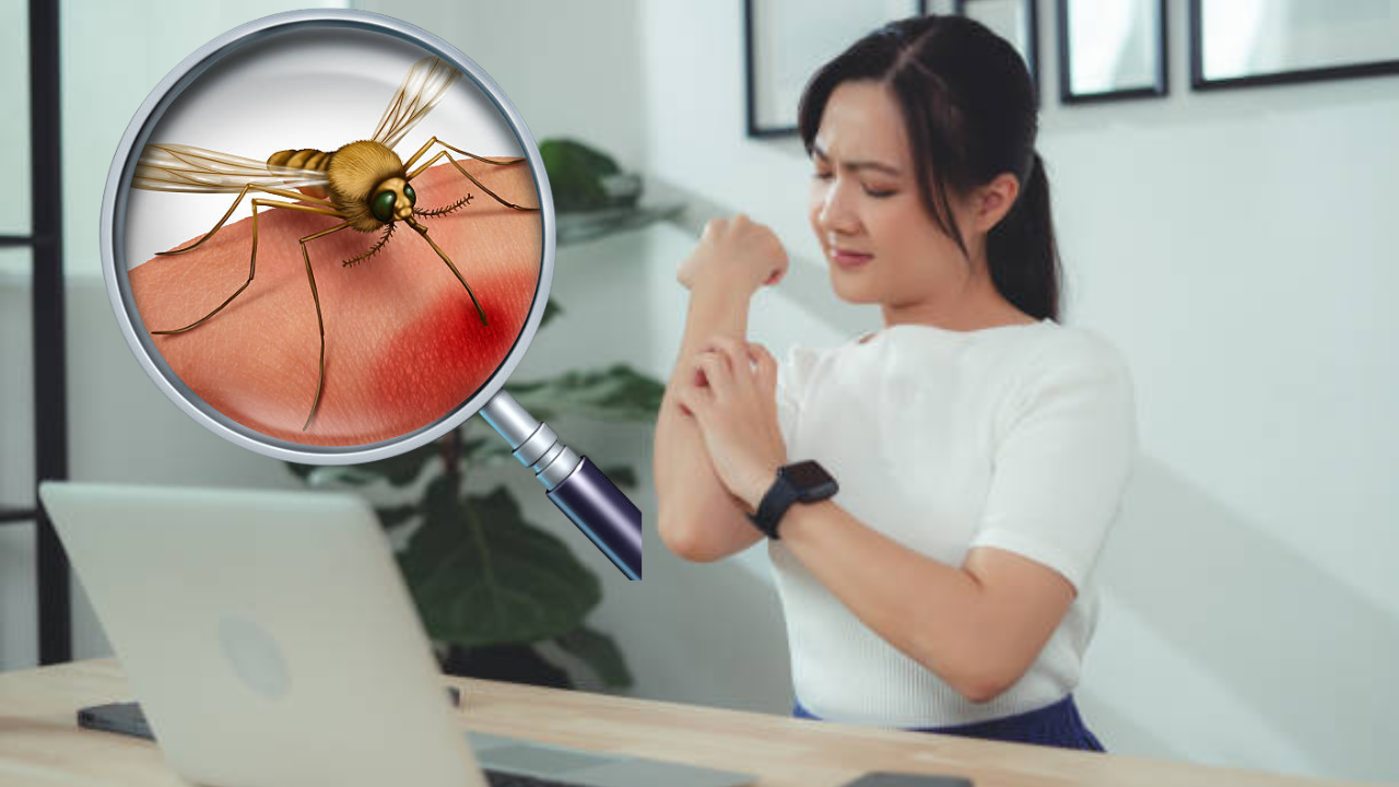 Doctor Explains Why Some People Get Bitten by Mosquitoes More In Hindi ...