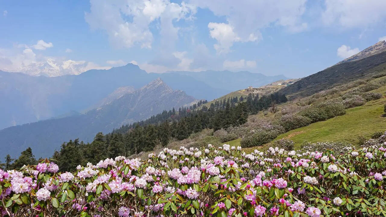 पांडव यही से गए थे स्वर्ग