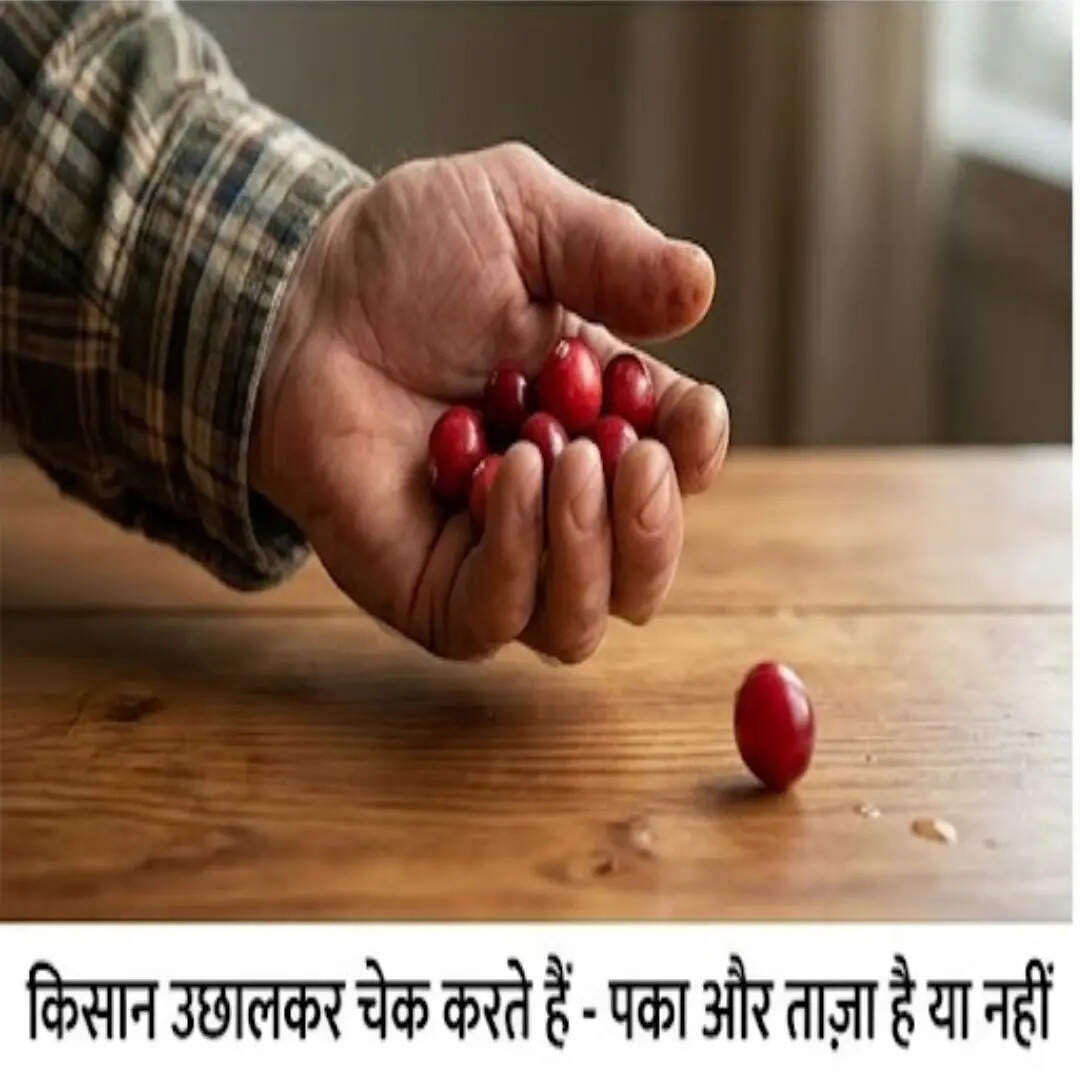 किसान करते हैं इस ट्रिक का इस्तेमाल