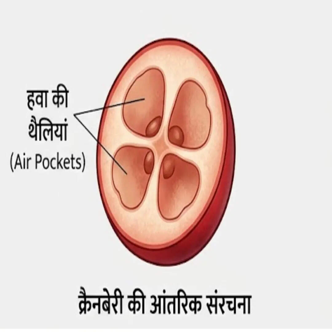 क्यों होता है ऐसा?