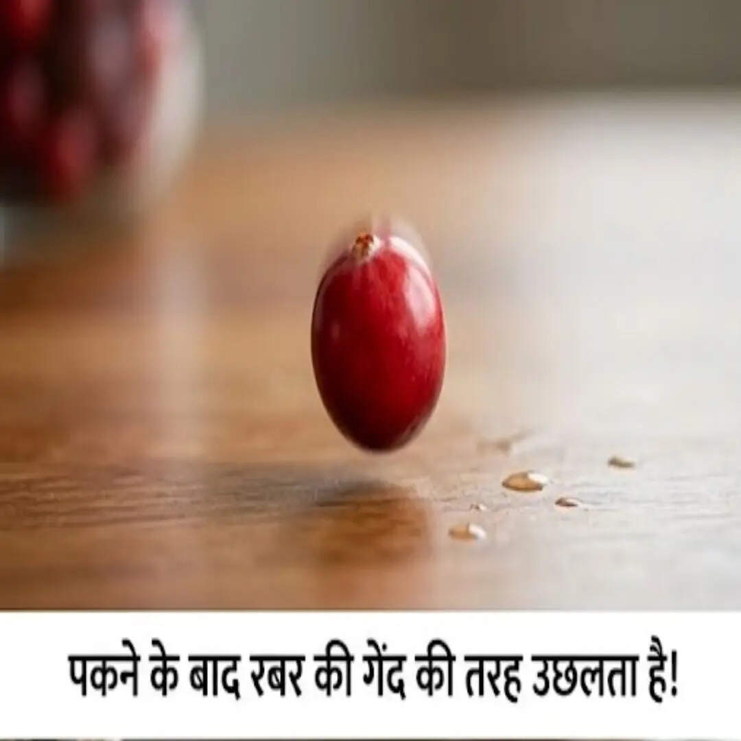 कौन सा है यह फल?