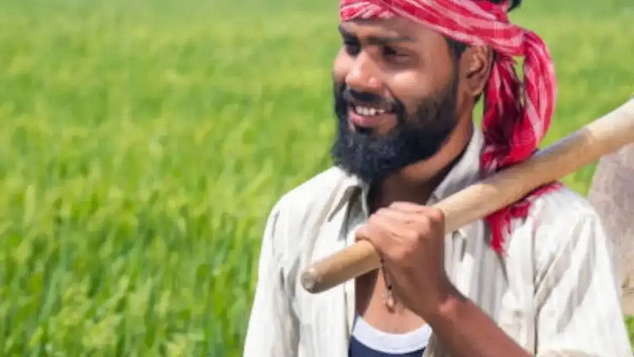 परिवार की गिनती
