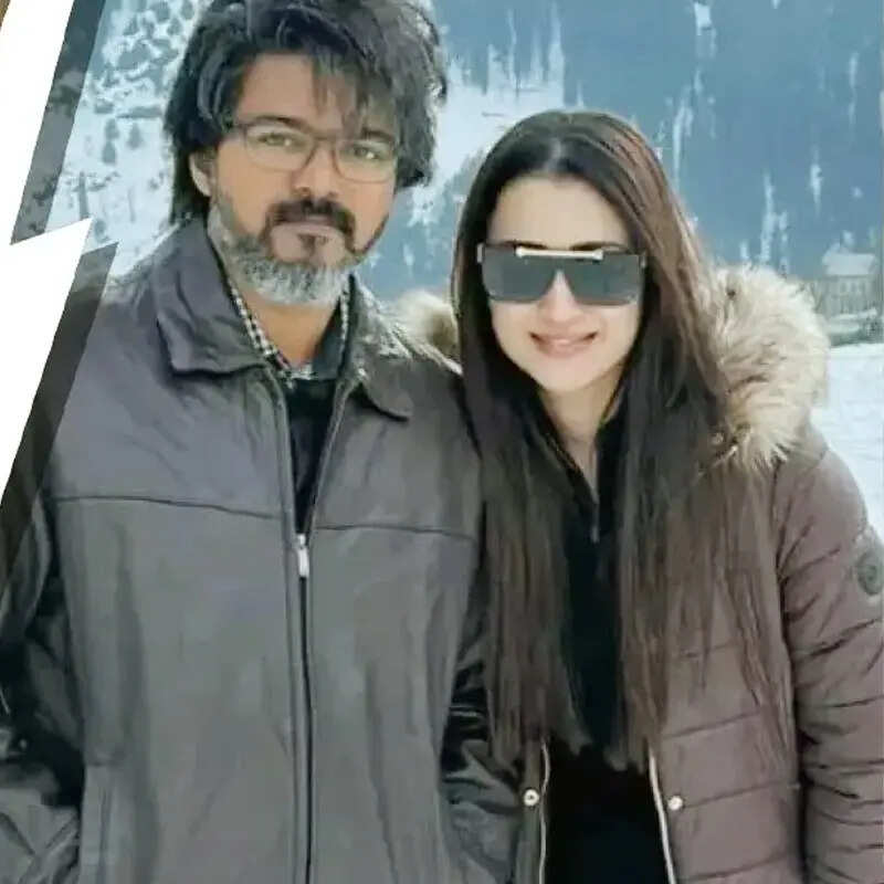 विजय के राजनीति में शामिल होने के बाद तृषा ने दिया पूरा साथ 