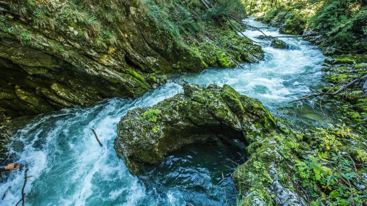 आजमगढ़ की प्रमुख नदियां
