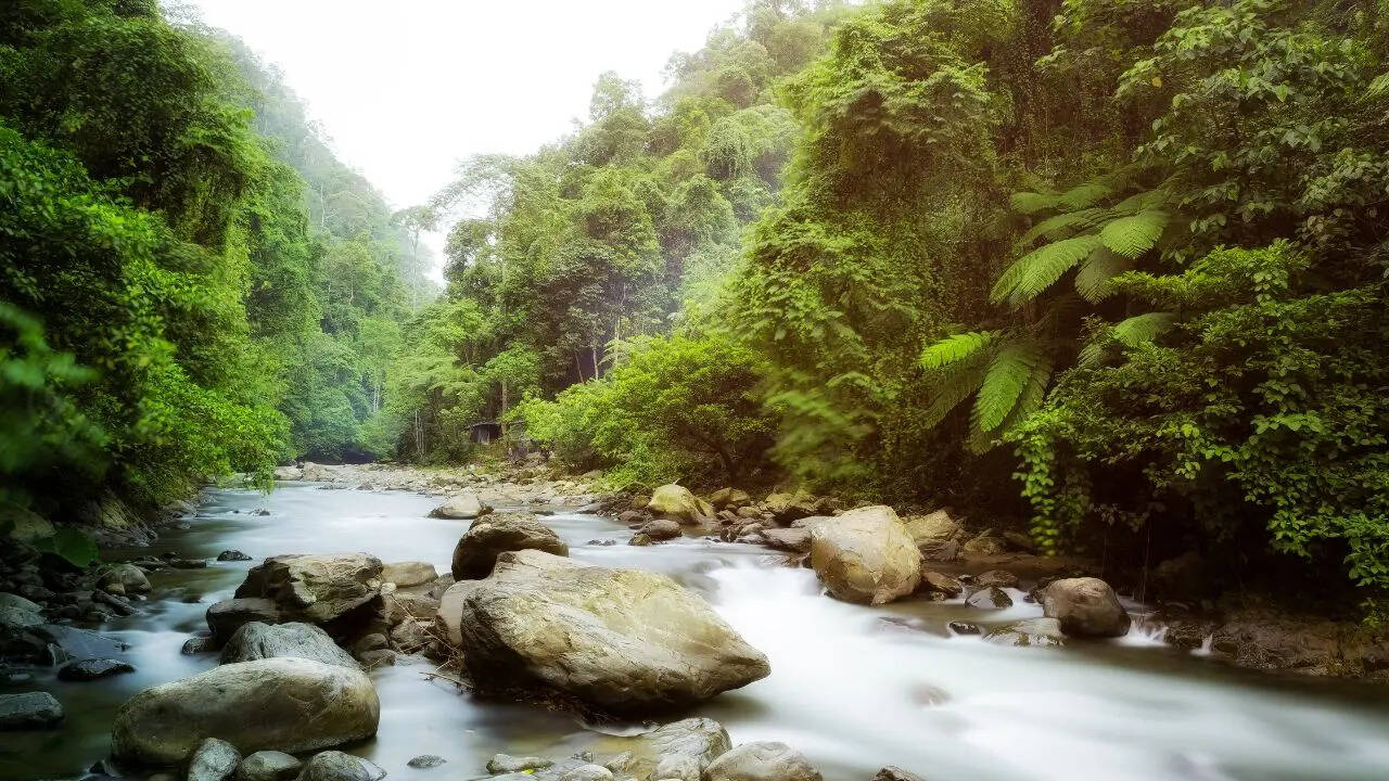 District of Rivers