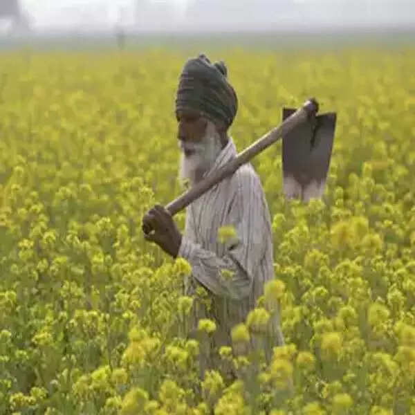 कैसे मिलता है योजना का लाभ?