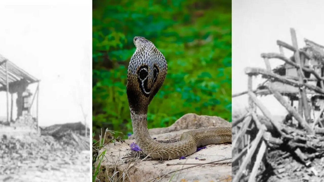 ​वैज्ञानिकों की उलझन और 'रेड अलर्ट'​