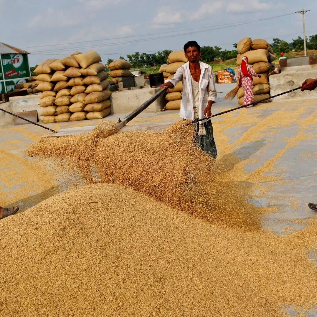 Asia Mein Sabse Bada Chawal Utpadak Desh Kaun: Which country is largest ...
