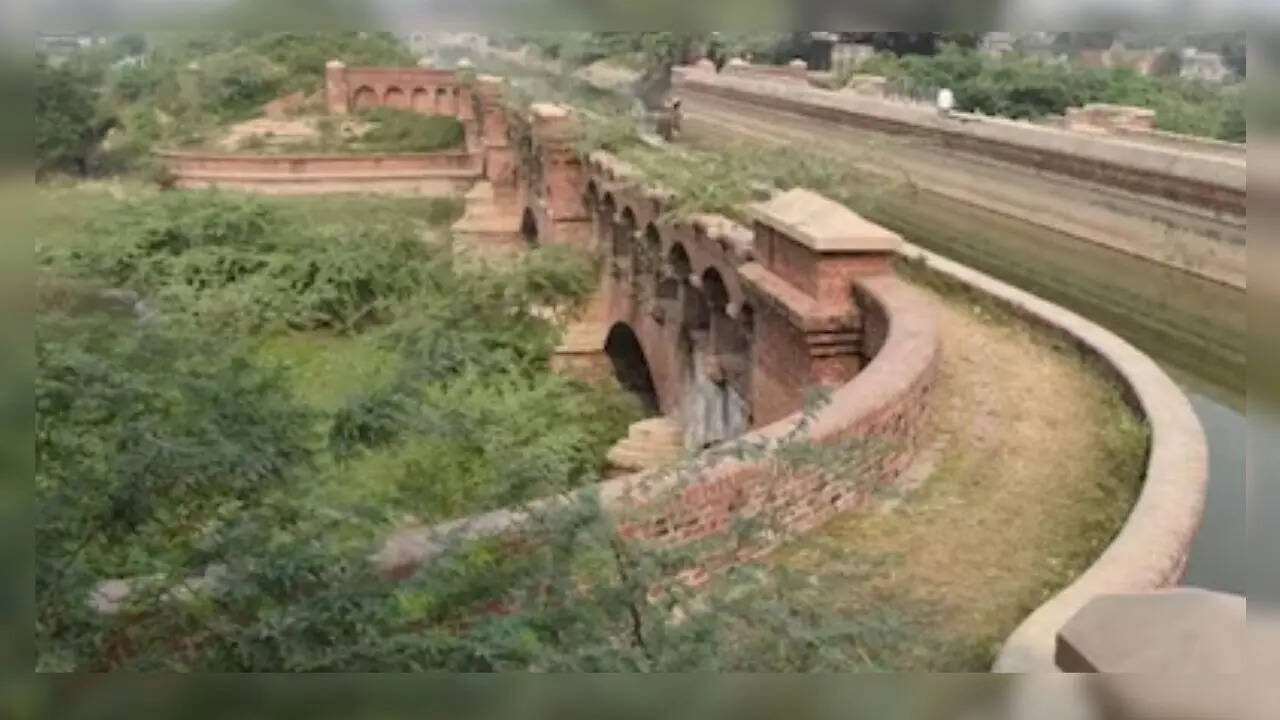 क्यों बनाया गया था ऐसा पुल?