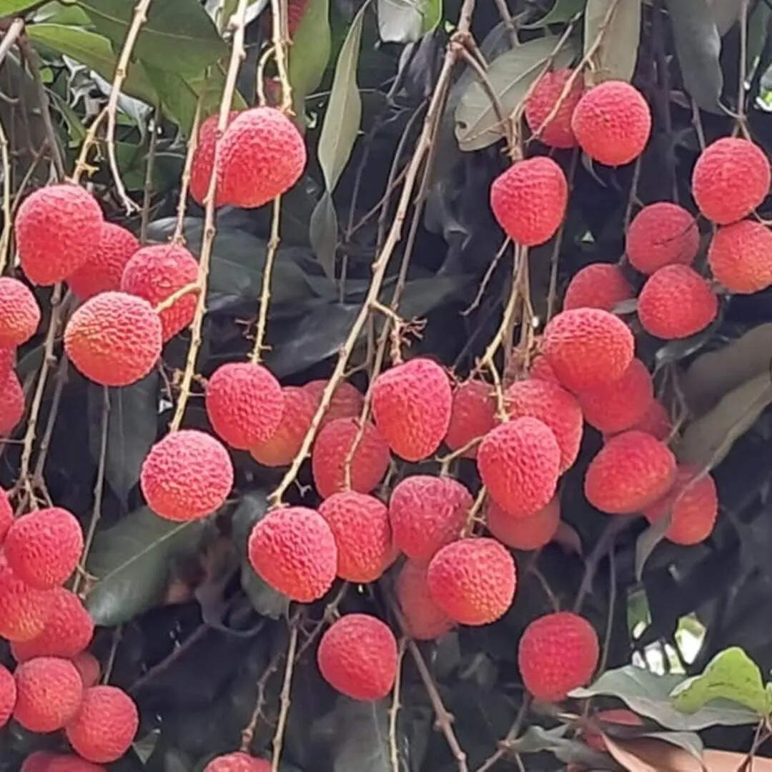 ​प्राकृतिक परिस्थितियां जो बनाती हैं खास​