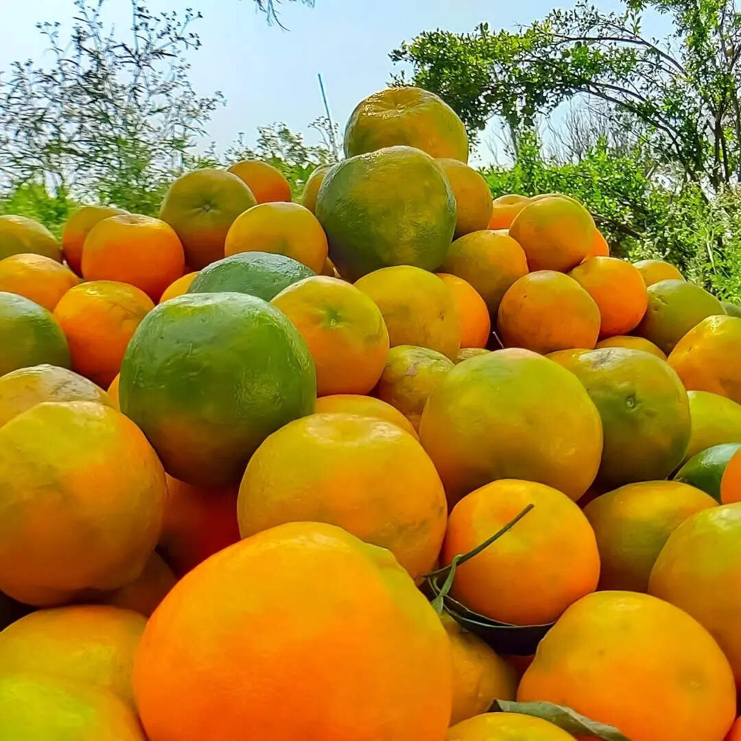 ​बाजार और व्यापार का बड़ा केंद्र​