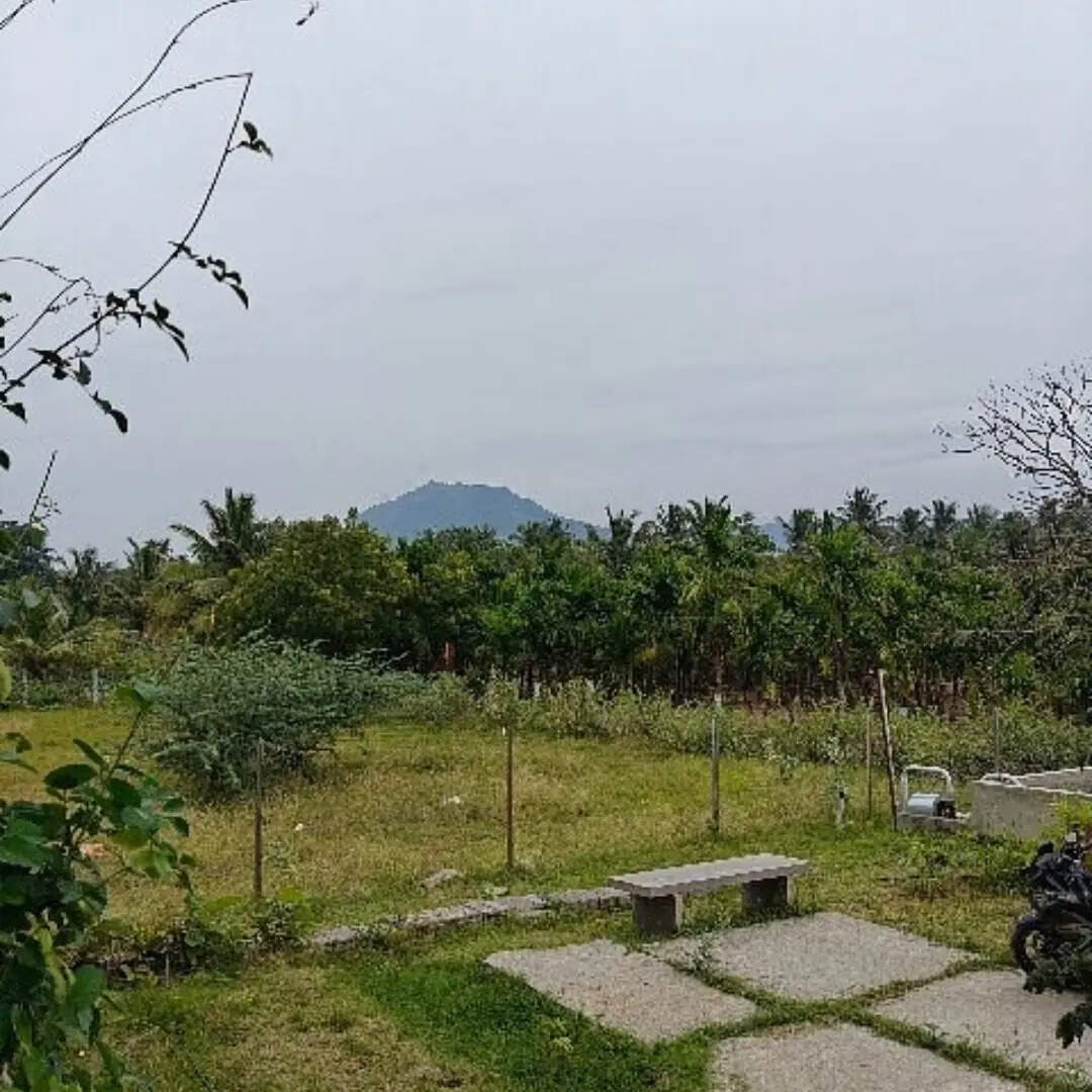 ​ल को सुकून देती है यात्रा​
